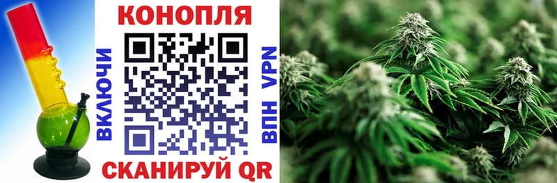 Цена Куровское Alpha-PVP  Мефедрон  АМФ  кракен сайт  ГАШ 