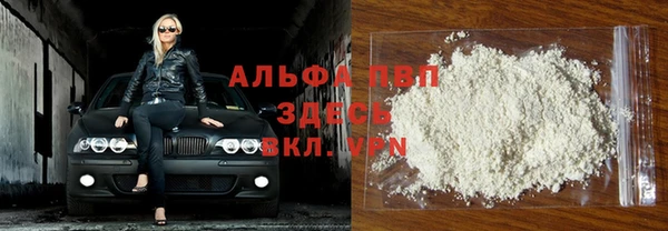 СК Козельск
