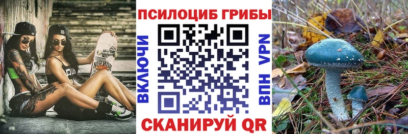 Псилоцибиновые грибы мухоморы  даркнет сайт  kraken ТОР  Куровское 